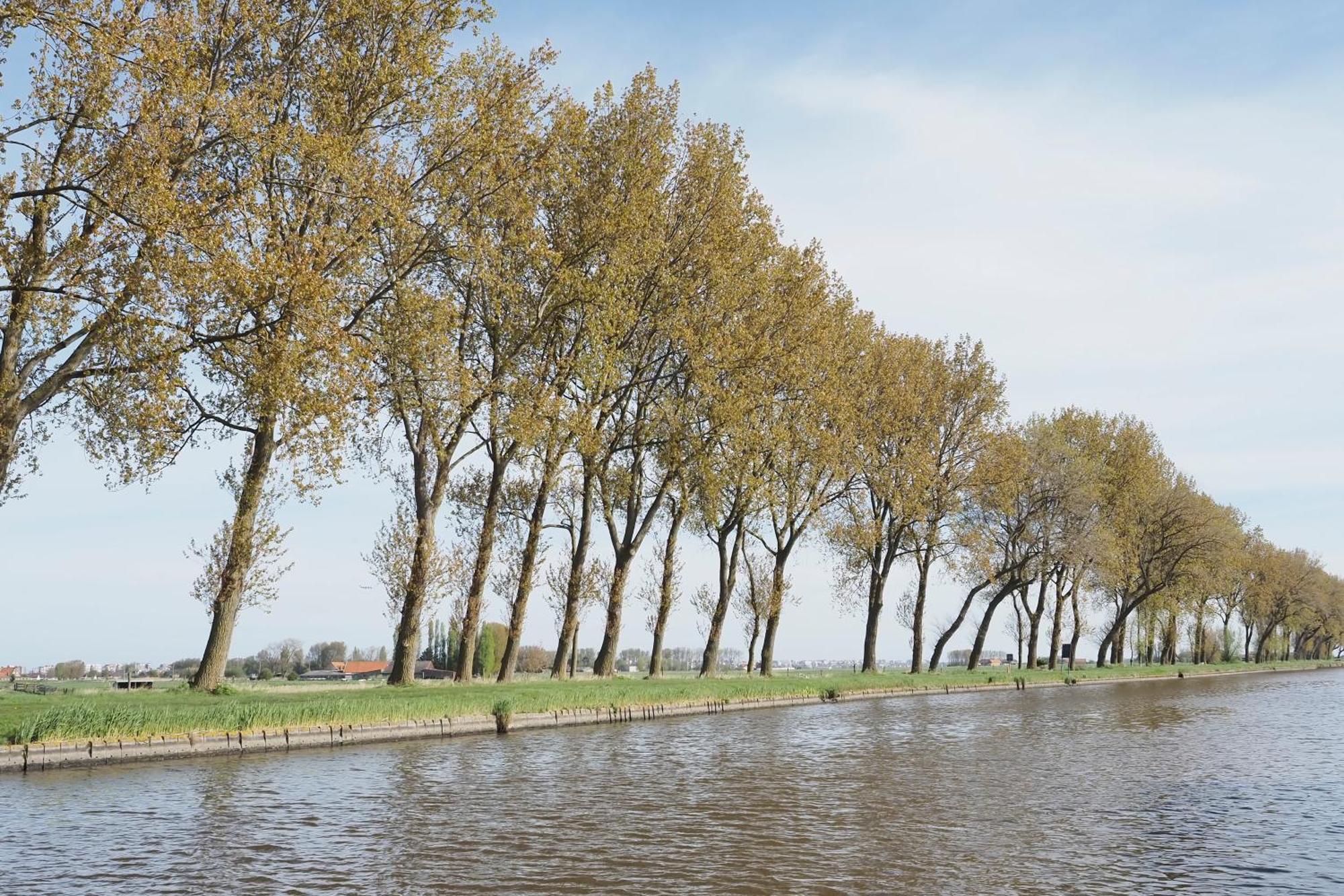 Hotel Houseboat Tiny Griffin Nieuwpoort Zewnętrze zdjęcie